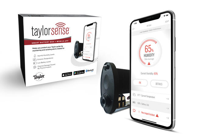 TaylorSense-650x450-12.11